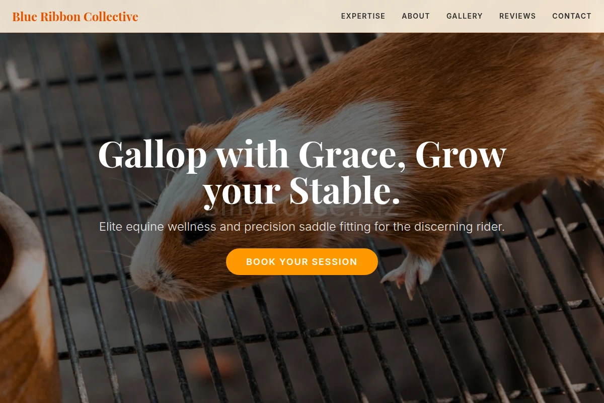 Saddle Animal Care