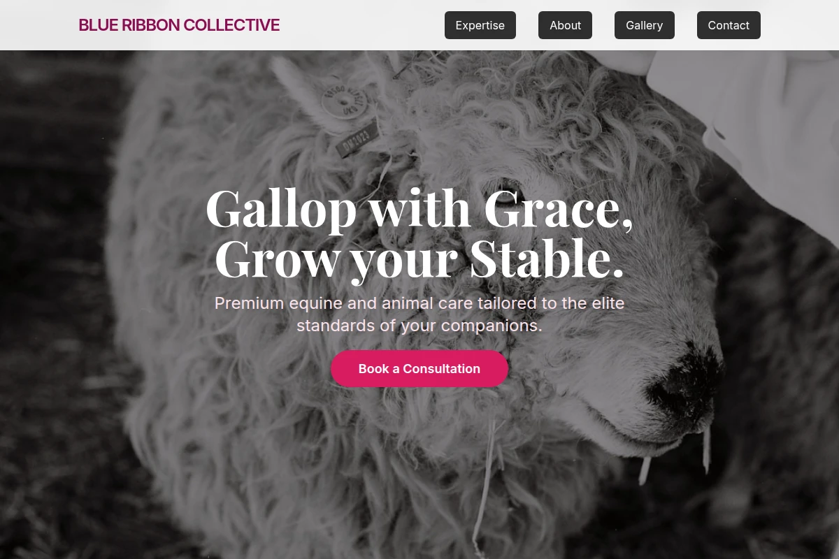 Bridle Animal Care