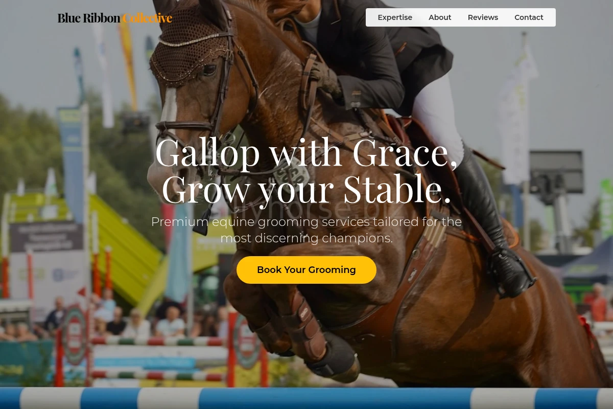 Grooming Equestrian