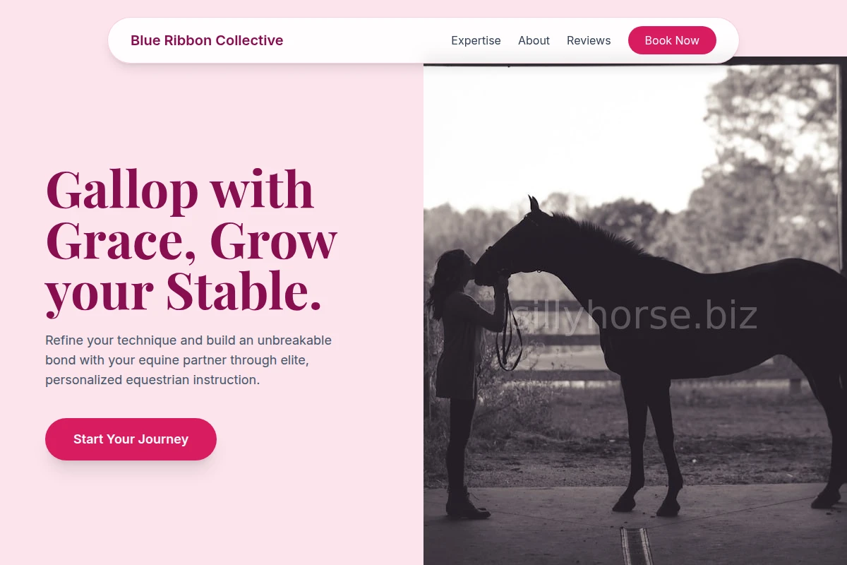 Lesson Equestrian