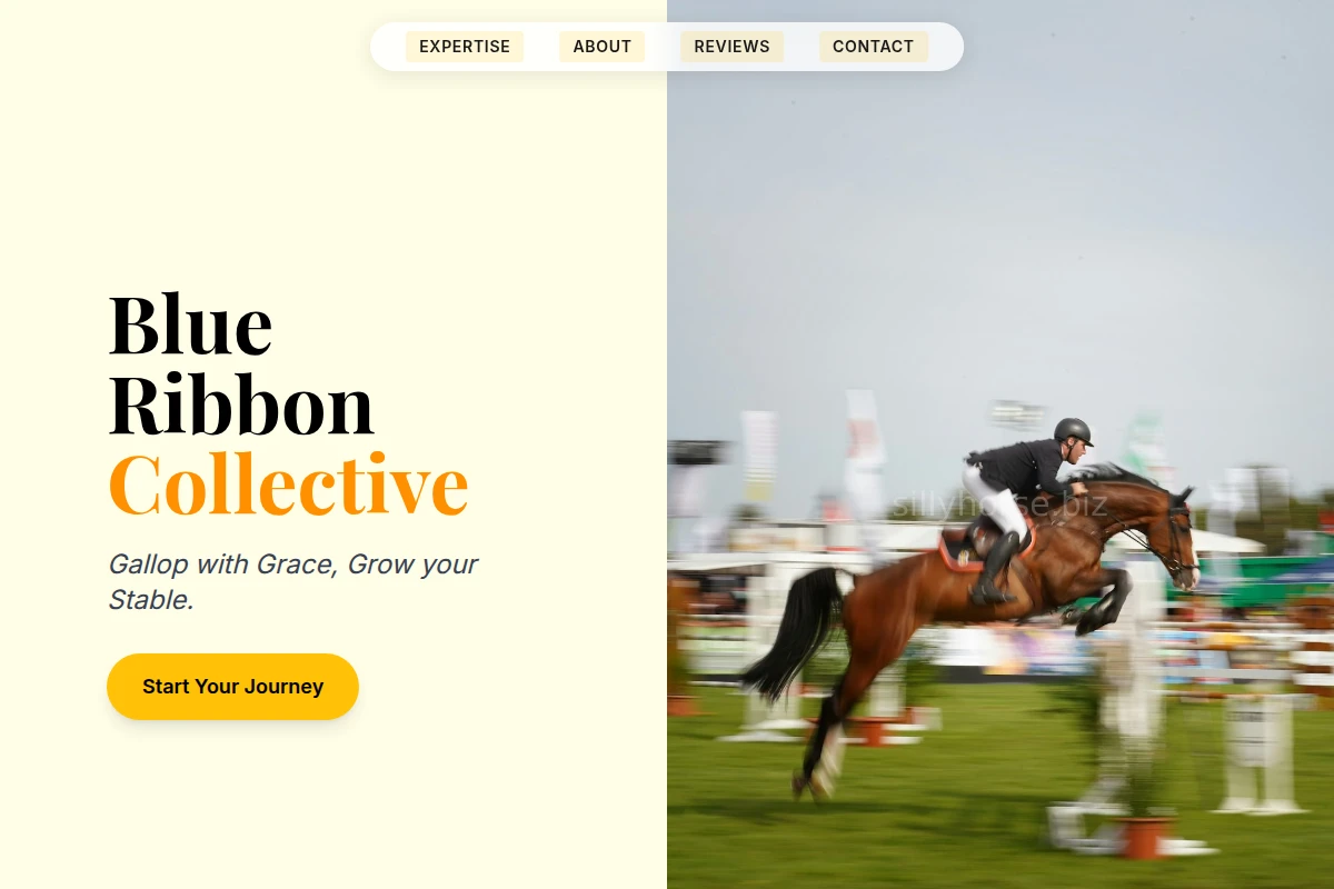 Stirrup Equestrian