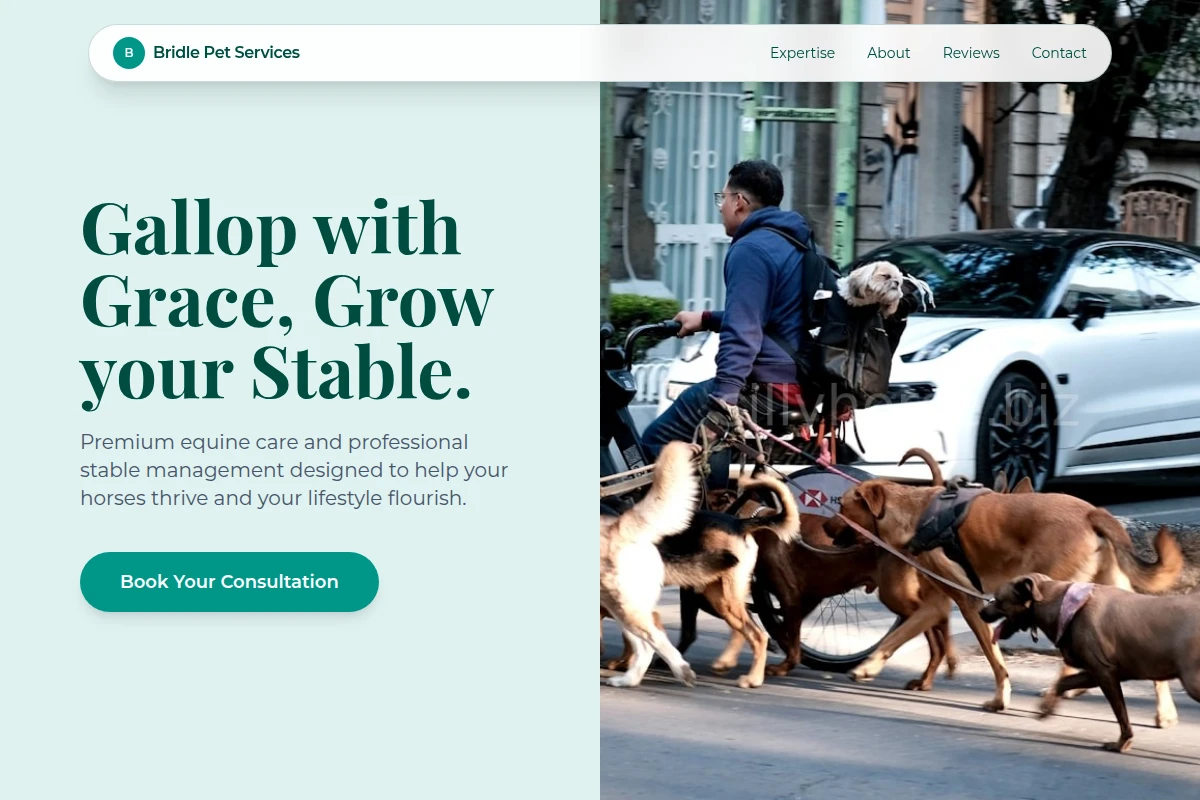 Bridle Pet Services