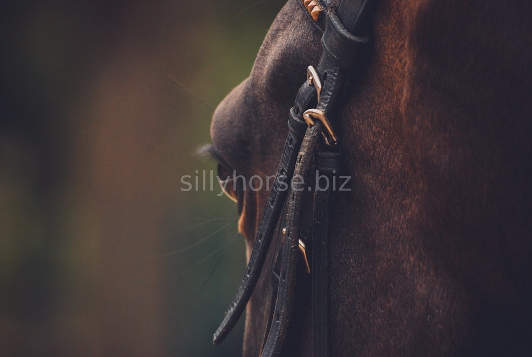 Equine Wellness