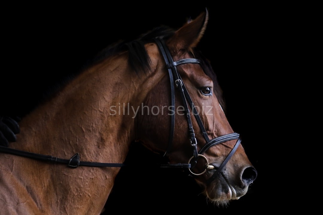 Horse Action