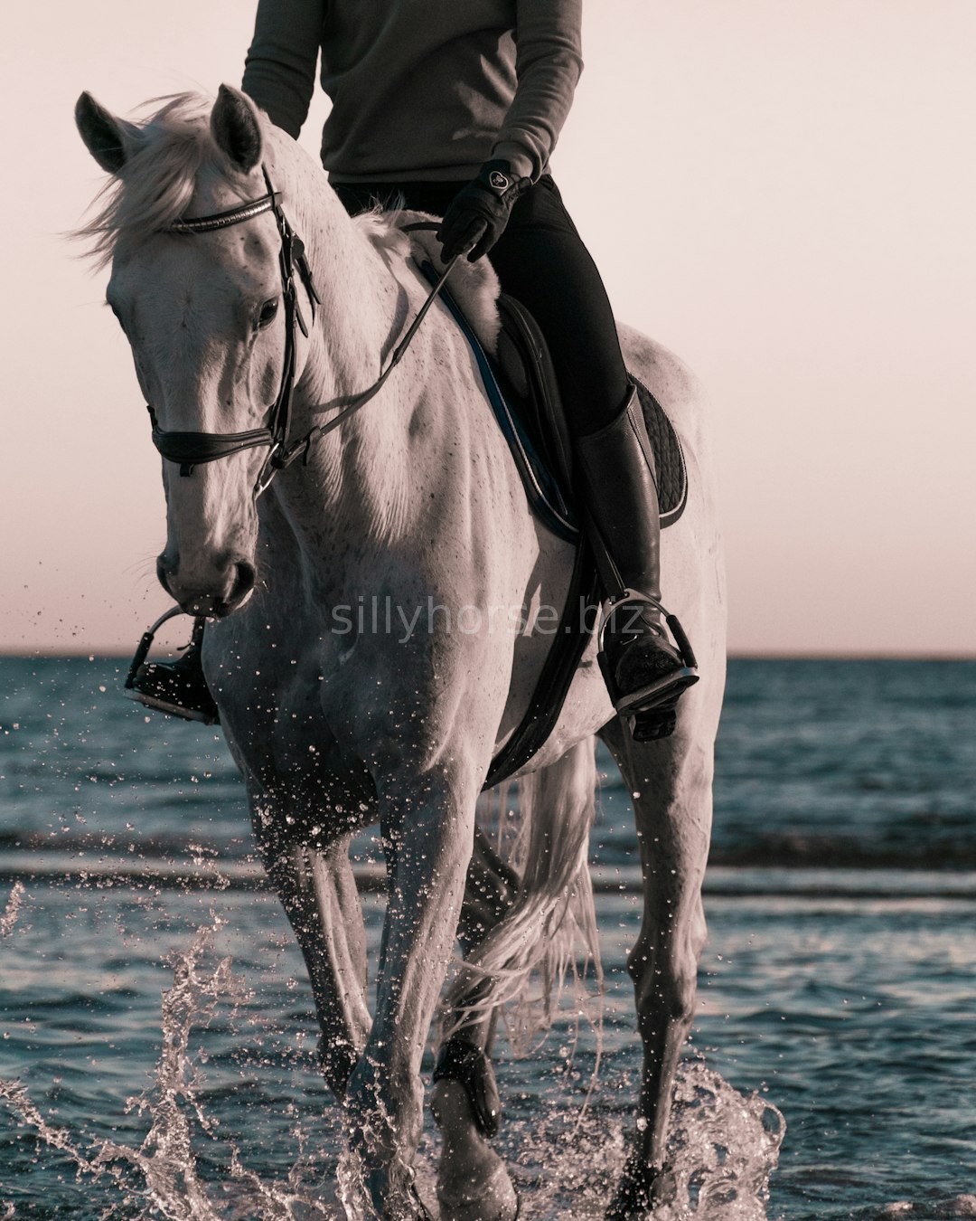 Riding Lessons