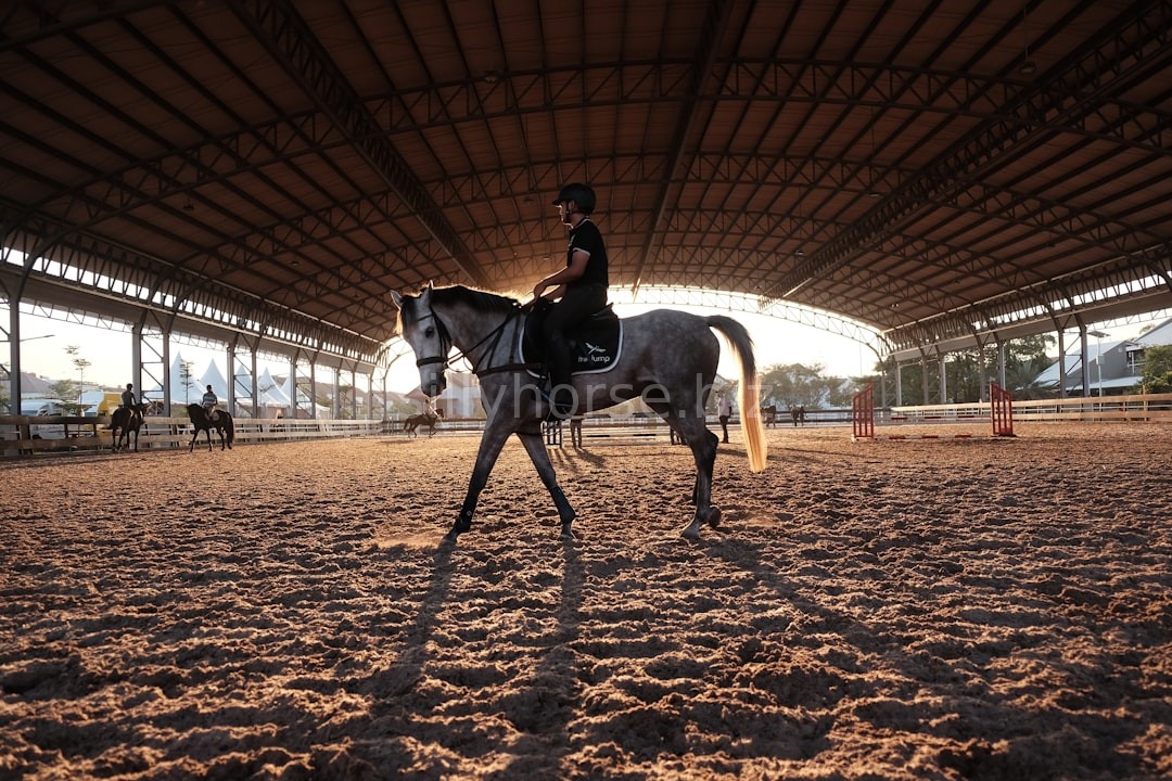 Rodeo Moment 1