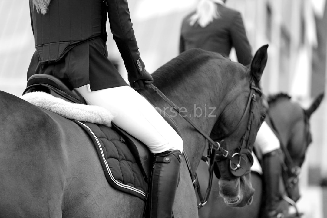Rodeo Moment 4