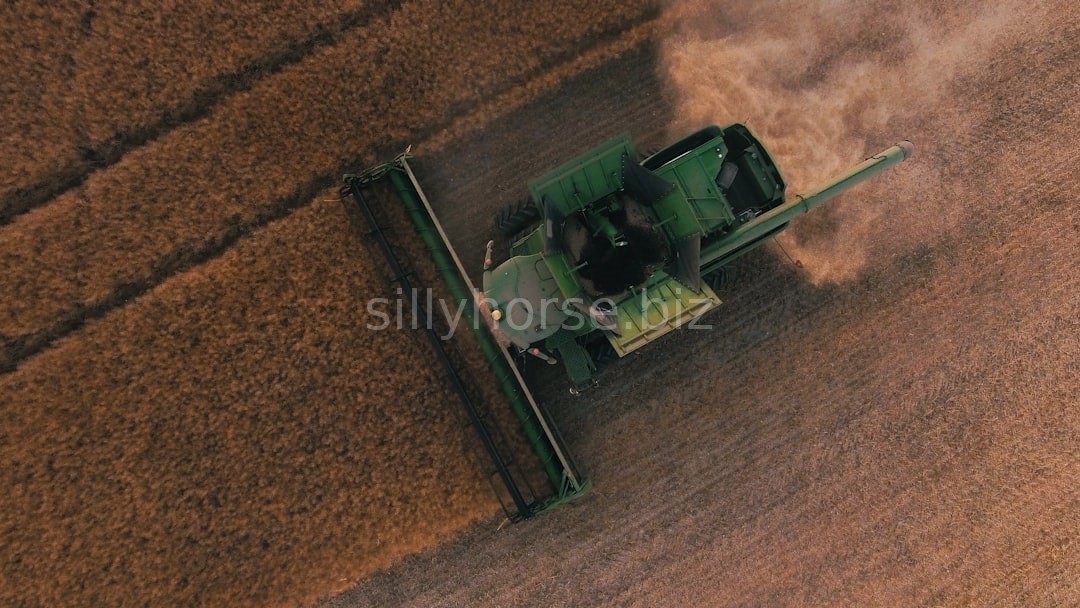 Farm 3
